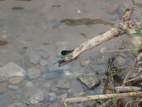 隨銳科技野三坡夏令營