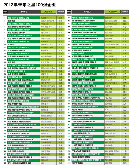 2013年未來之星100強企業